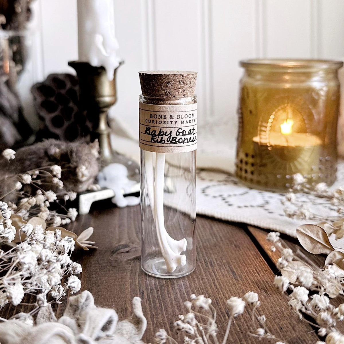 Real Baby Goat Rib Bones in Glass Vial – No. 02