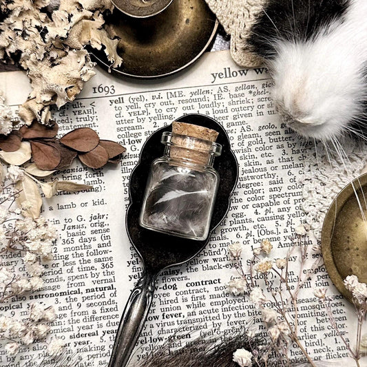 Real Tiny Chicken Feathers in Tiny Glass Vial – No. 03