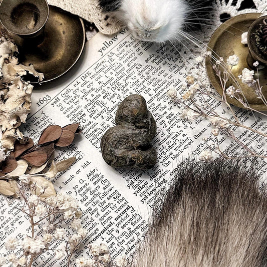Real Coprolite Fossil – No. 18