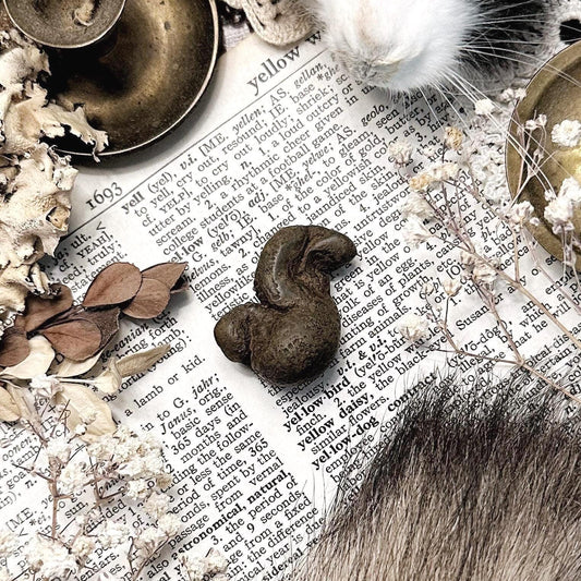 Real Coprolite Fossil – No. 27