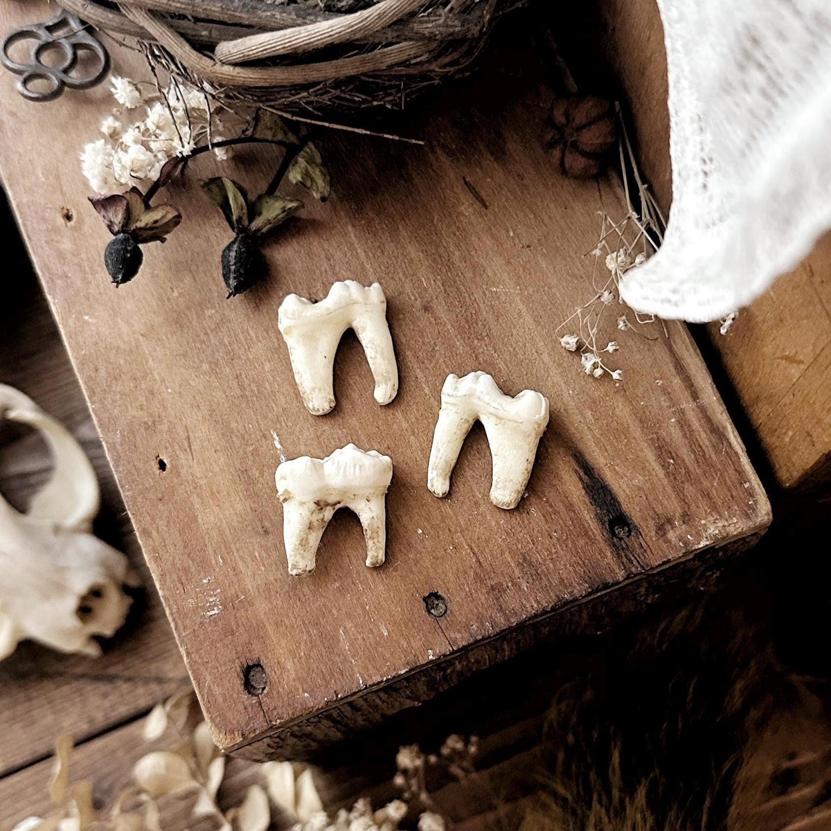 One Real Rustic Mystery Tooth