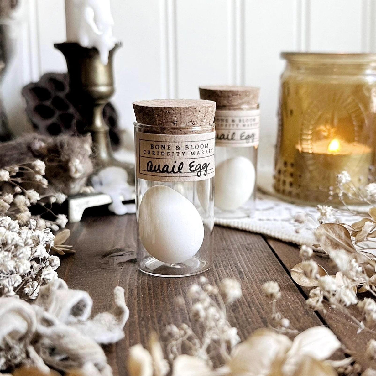 One Real White Quail Egg in Glass Vial