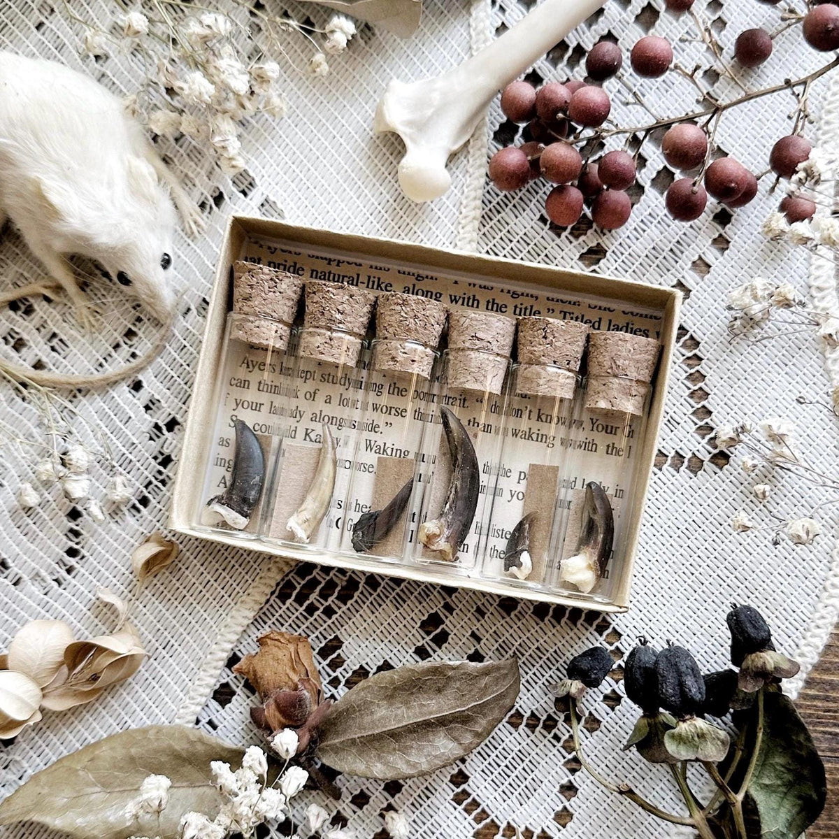 A Study in Claws Collection – No. 01