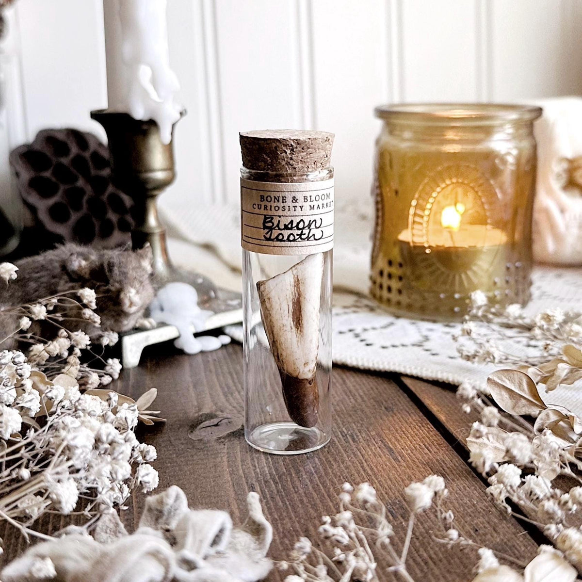 Real Bison Tooth in Glass Vial – No. 03