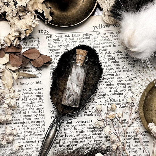 Real Tiny Gray Turkey Feathers in Glass Vial – No. 03