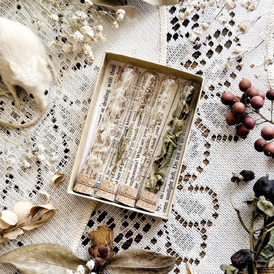 Petite Botanical Collection – No. 14