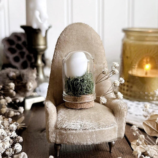 Real Tiny Parakeet Egg in Mini Glass Dome