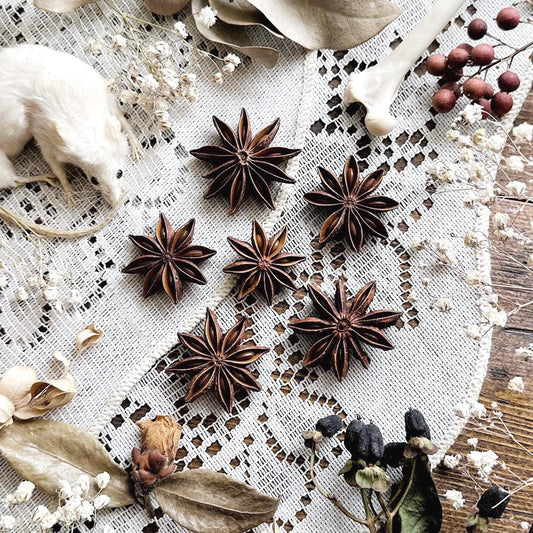 Collection of 6 Star Anise Pods