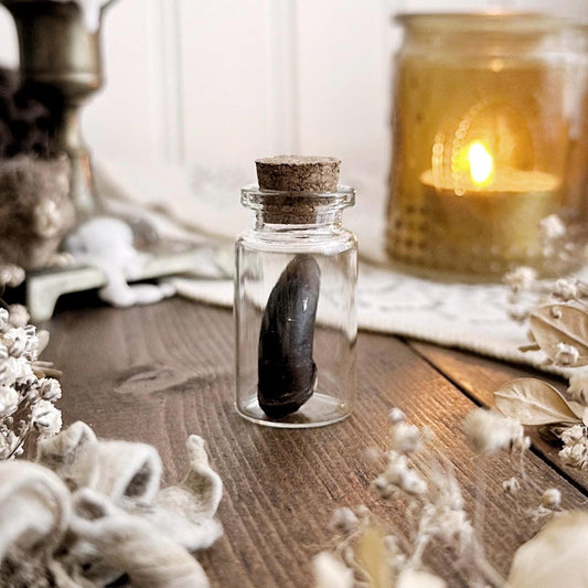 Real Large Beaver Claw in Glass Vial – No. 04
