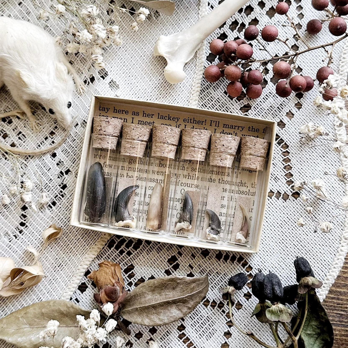 A Study in Claws Collection – No. 04