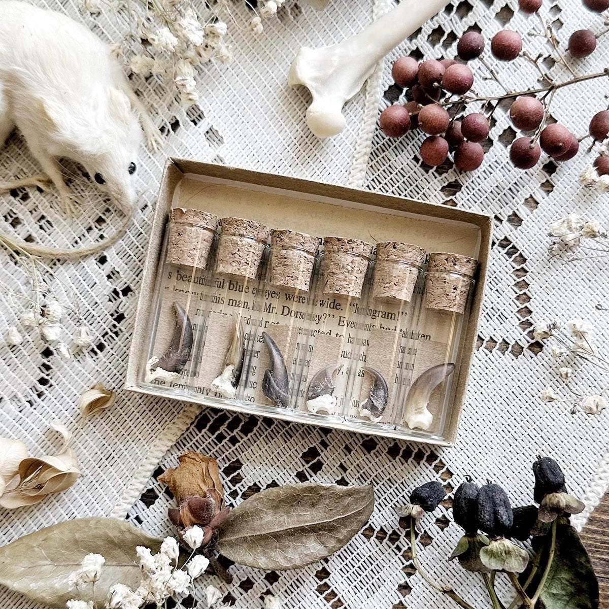 A Study in Claws Collection – No. 02