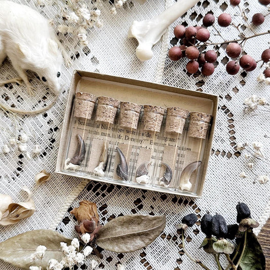 A Study in Claws Collection – No. 02