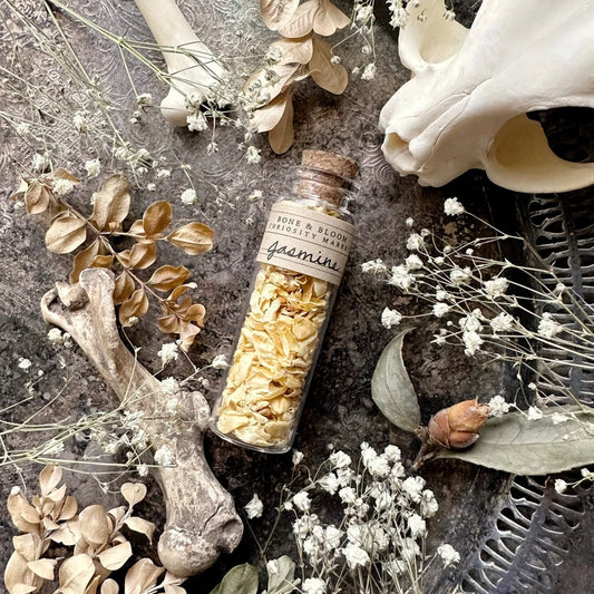 Dried Jasmine Flower Petals in Glass Vial  – No. 02