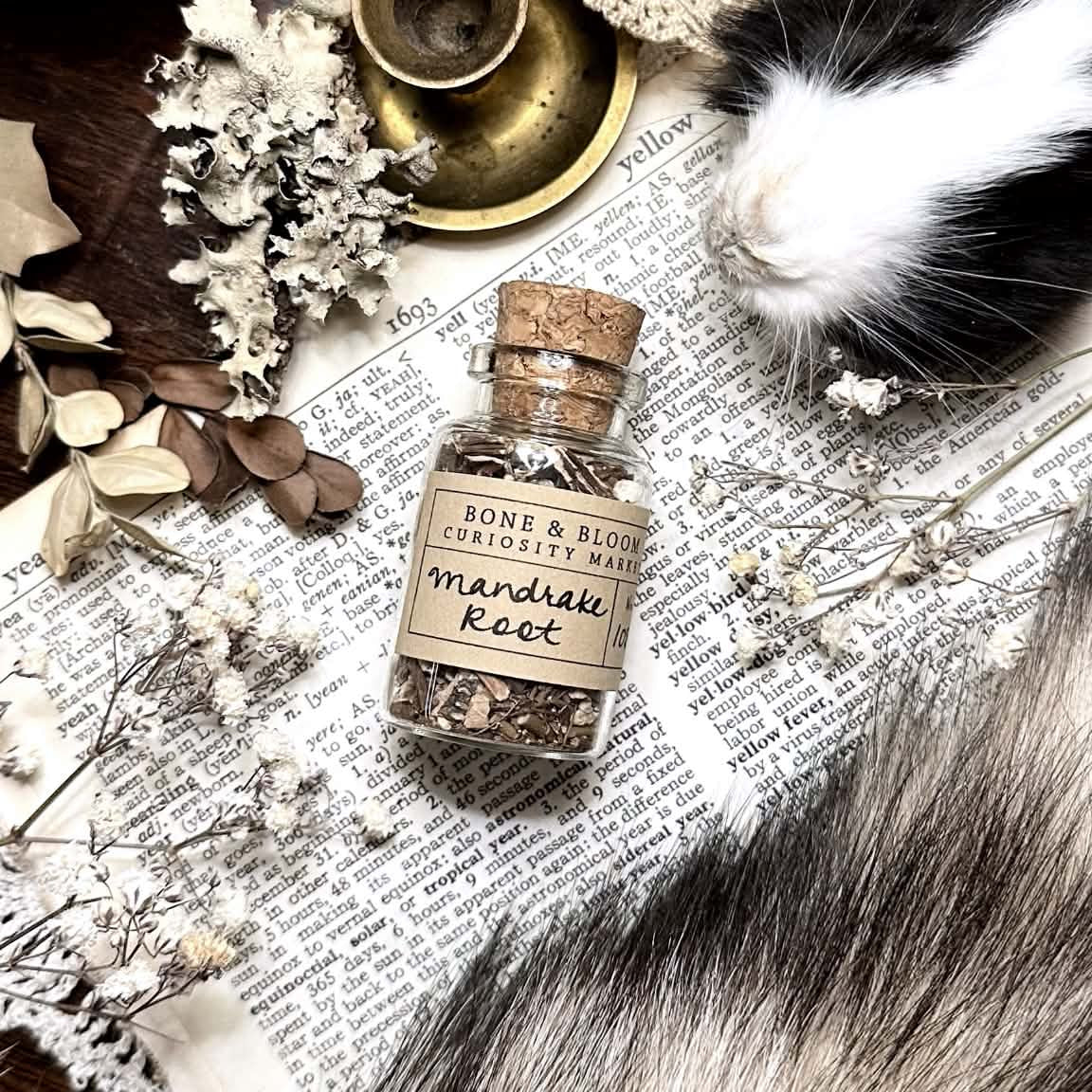 Dried Mandrake Root in Glass Vial – No. 108