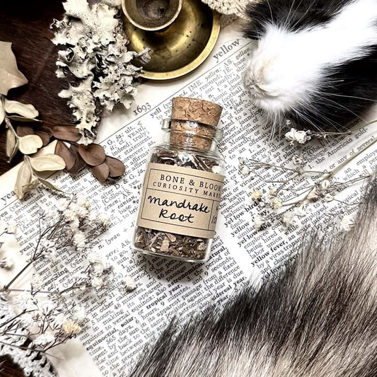 Dried Mandrake Root in Glass Vial – No. 108