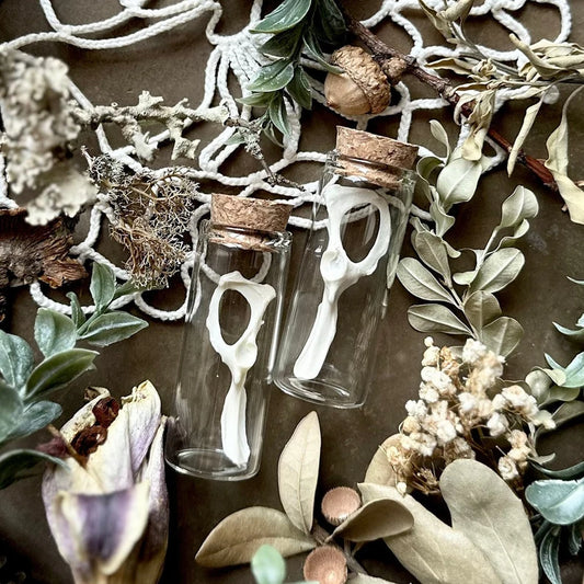 One Real Squirrel Pelvic Bone in Glass Vial – No. 01