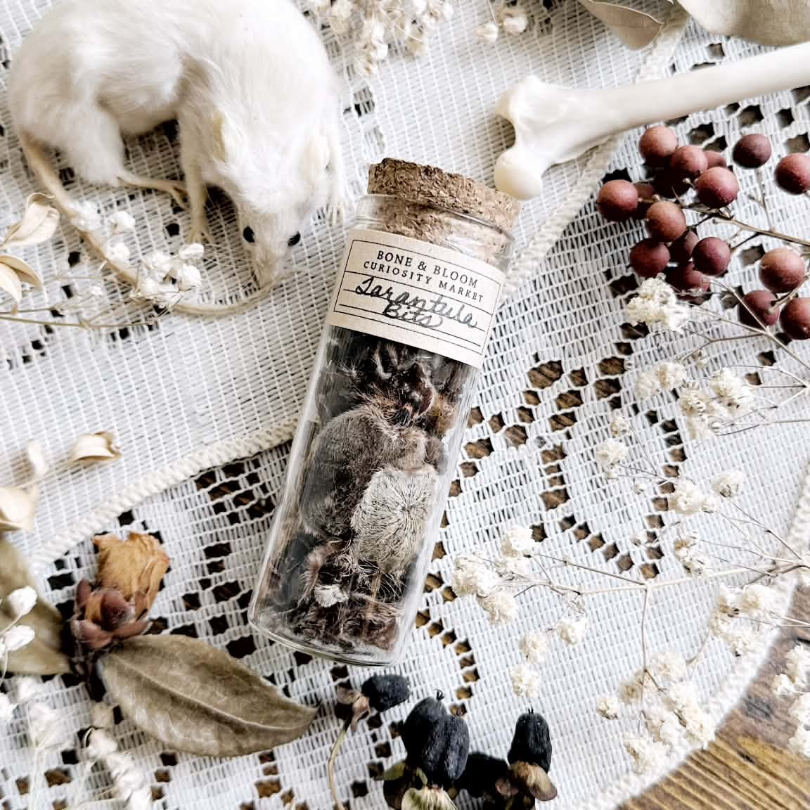 Real Tarantula Molt Bits in Glass Vial – No. 01