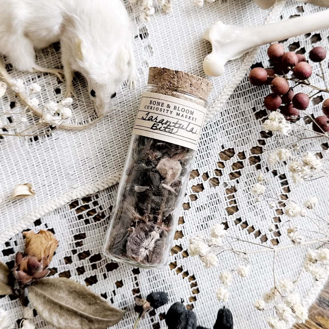 Real Tarantula Molt Bits in Glass Vial – No. 02