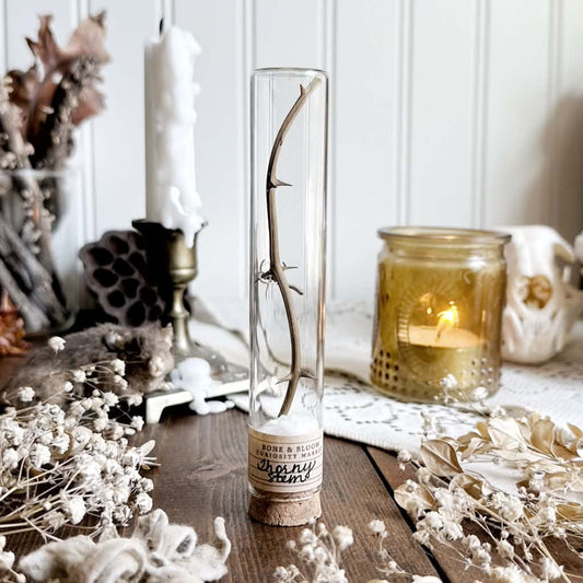 Real Thorny Stem in Glass Vial